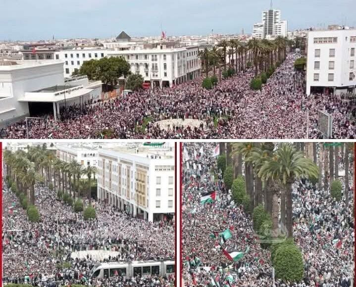 المغرب مظاهرات مع غزة